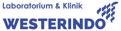 Westerindo logo
